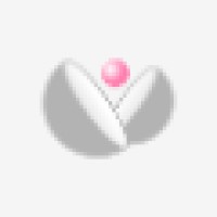 Pearls International Recruitment Agency logo - Similar company to Intsol Recruitment