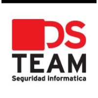 DSTEAM SECURITY logo - Similar company to Compugem Soluciones Ti