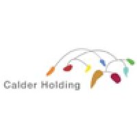 Calder Holding B.V. logo - Similar company to Brightsecurity