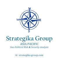 Strategika Group logo - Similar company to Zazala Ltd