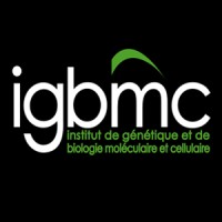 IGBMC logo - Similar company to University Of Zurich