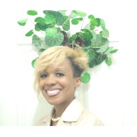 The Million Dollar She-E-Os logo - Similar company to Lytehosting