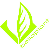 Bellaplant AG logo - Similar company to Flowervision Limited