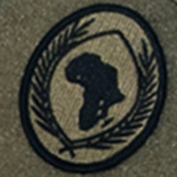 U.S. Africa Command (AFRICOM) logo - Similar company to U.S. Central Command