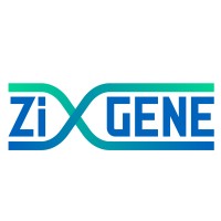 ZiGene logo - Similar company to Mapsaltd