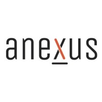 AnexusLAT logo - Similar company to Weknow Inc