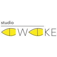 Studio AWAKE logo - Similar company to Bhutan Media Foundation