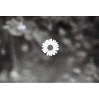 disconnected life logo - Similar company to Unbreakableos