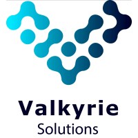 Valkyrie Solutions logo - Similar company to Interface Fze