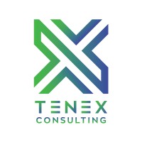Tenex Consulting logo - Similar company to Global Nursing Leadership Academy