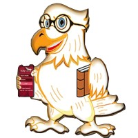The Study Falcon logo - Similar company to Hanuinnotech.Com | Hanumayamma Innovations And Technologies, Inc.