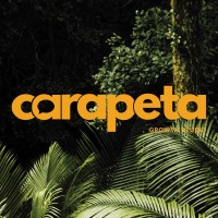 Carapeta Growth Studio logo - Similar company to Simplifyer