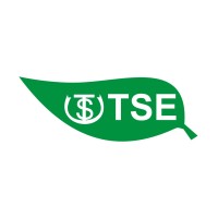 TSE do Brasil logo - Similar company to Sem Trabalho! E Agora?