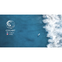 Collabit logo - Similar company to Lendforgood