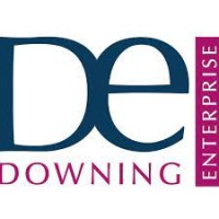 Downing Enterprise logo - Similar company to Epsrc Cdt In Future Propulsion And Power