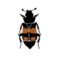 De Unge Biodiversitetsambassadører logo - Similar company to Træ.Dk - Danmarks Træportal