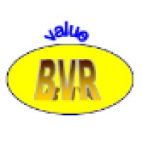BVR Engineered Systems logo - Similar company to Bugware Solutions