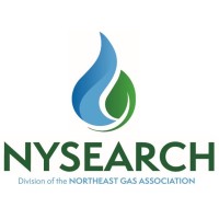NYSEARCH / NGA logo - Similar company to Dtect Innovation Pty. Limited