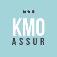 KMO-ASSUR logo - Similar company to Update-Pro