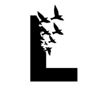 LewinAssociates logo - Similar company to Beyond Products