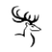 The Stag On The River