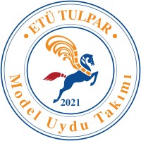 Tulpar Model Uydu Takımı