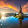 Digimune Group Indonesia logo - Similar company to Null Breach