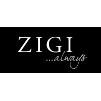 Zigi Jewellery logo - Similar company to Dignity Collective As