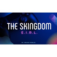 THE SKINGDOM E.I.R.L. logo - Similar company to Corporación Kajatt Vaccari