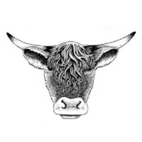 Salt & Char Steakhouse logo - Similar company to Jets X-Factor