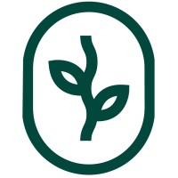 Climate Vine