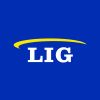 LIG | Louis Industrial Group logo - Similar company to Management Information Systems Association (Misa)