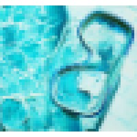 AnnGoldberg.com logo - Similar company to Source Security & Investigations, Inc