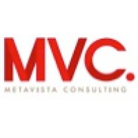 Metavista Consulting Group