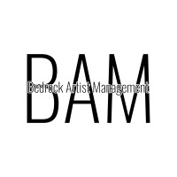 Bedrock Artist Mangement logo - Similar company to Bedrock Information Systems
