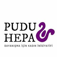 Puduhepa e.V logo - Similar company to Kompetenz Jugendhilfe Ggmbh