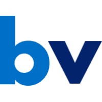 BlueViolin GmbH logo - Similar company to Conelis E.V.