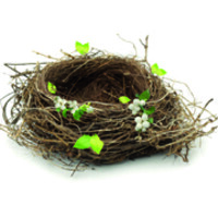 das nest - Praxis für Psychotherapie & Coaching logo - Similar company to Selbst E.V.