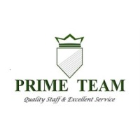 Prime Team Group logo - Similar company to Effective Performance Strategies