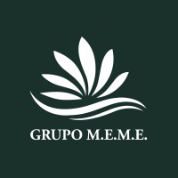 Grupo MEME logo - Similar company to Tasinsa