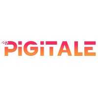Pigitale logo - Similar company to Improveconnect