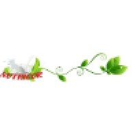 Nutricor Business Srl