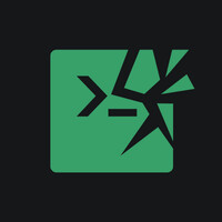Security Runners logo - Similar company to Pointguard Ai