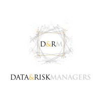 Data & Risk Managers logo - Similar company to Nprende