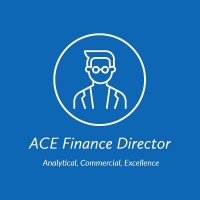 ACE Finance Director logo - Similar company to Ace Finance Solutions