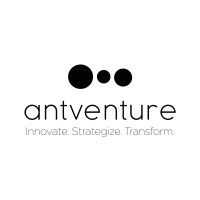 Ant Venture logo - Similar company to Devblink.Ai