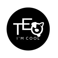 TEO I'M COOL - UNIK TREND SRL logo - Similar company to Divedivine