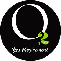 O2 Plantwalls logo - Similar company to Statement Constructions