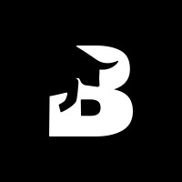 BlackBull Digital AI logo - Similar company to Ultimate Shutter