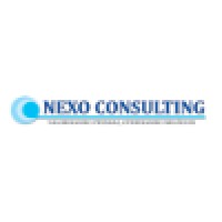 Nexo Consulting logo - Similar company to Ws Gestão